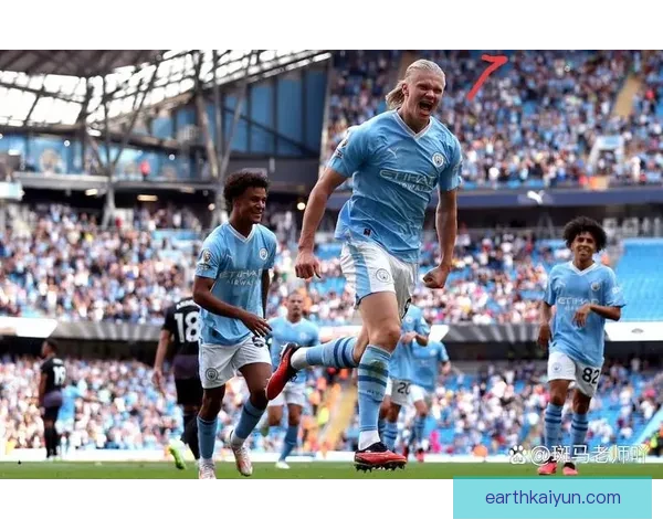 富勒姆球员们在本赛季表现亮眼，力争英超最佳阵容荣誉。